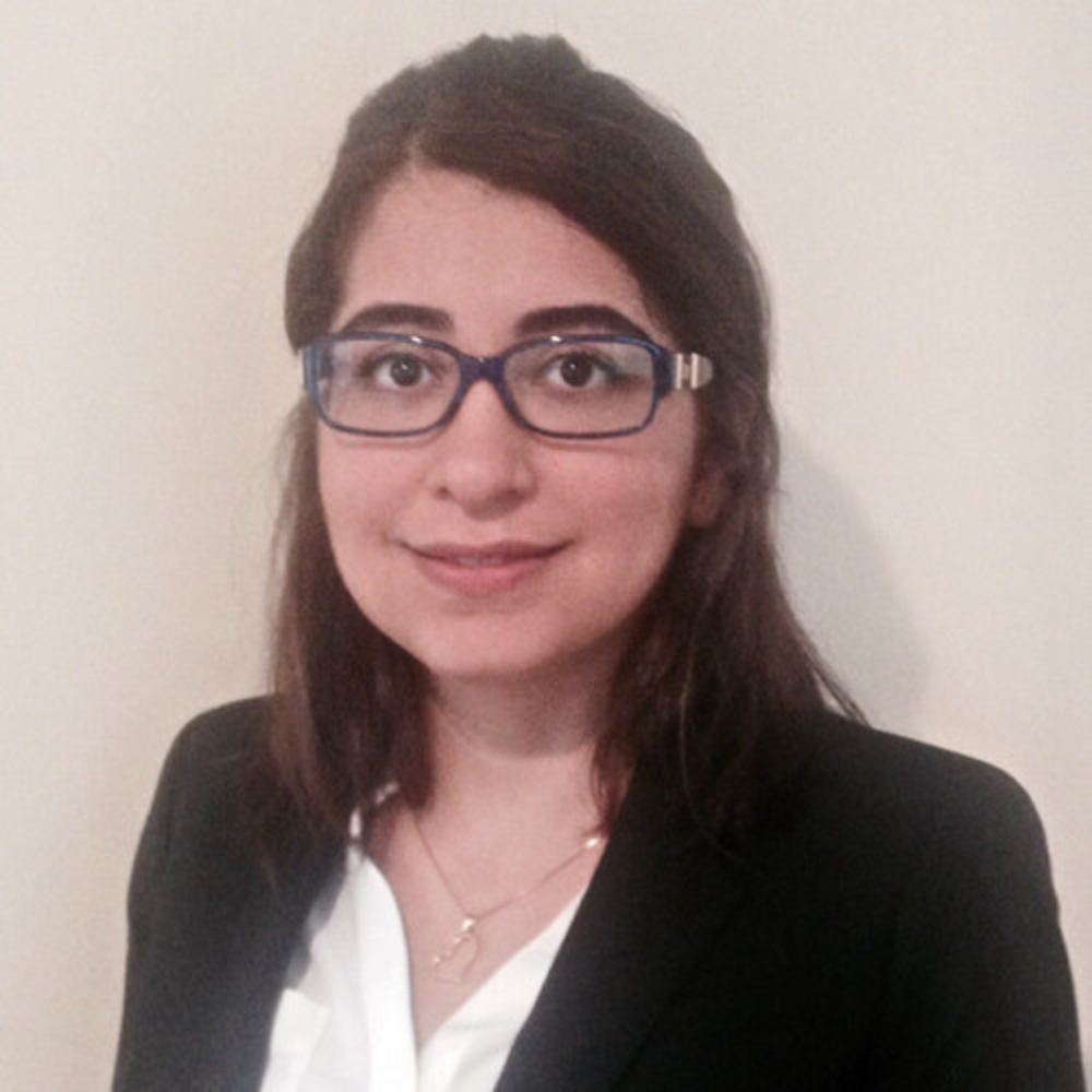 Nasrin Dorreh Nasrin Dorreh headshot